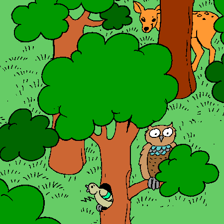 sortie a la foret