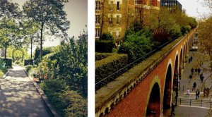 Image / illustration