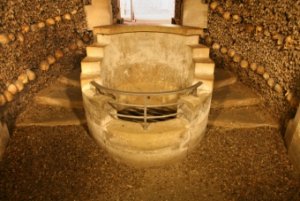 Image / illustration