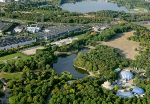 Image / illustration